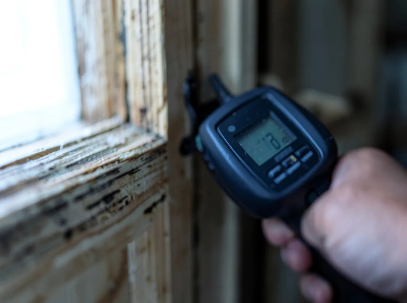 Moisture Inspection And Documentation in Olympia Fields, IL